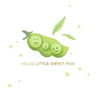 geboorte hello little sweet pea
